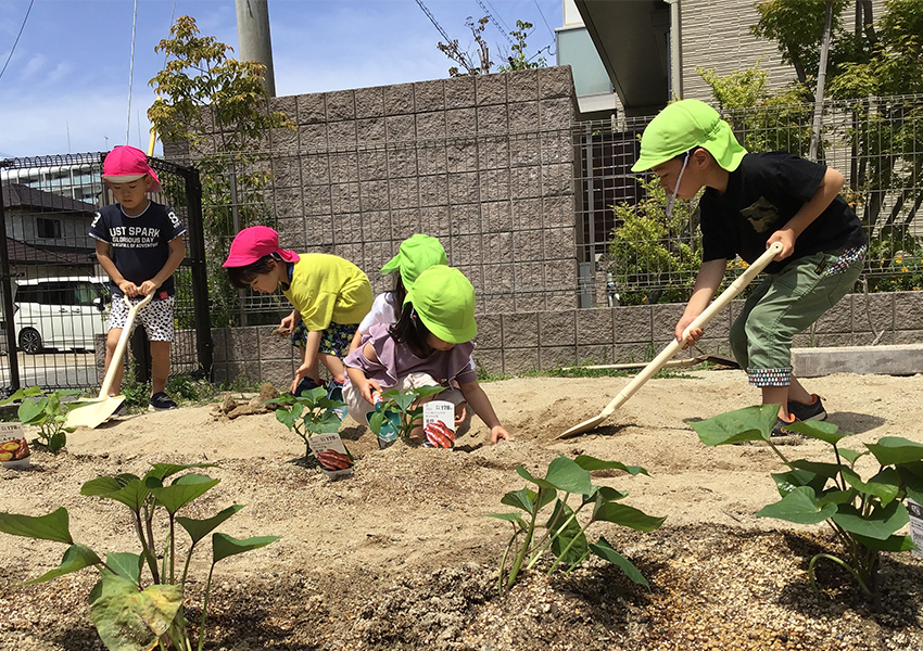 農作業に精を出しています！